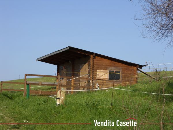 box per cavalli